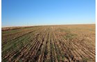 TRACT 3 - REAL ESTATE & MINERAL AUCTION - 640+/- ACRES & PRODUCING MINERALS OFFERED IN 8 TRACTS IN MORTON COUNTY, KANSAS